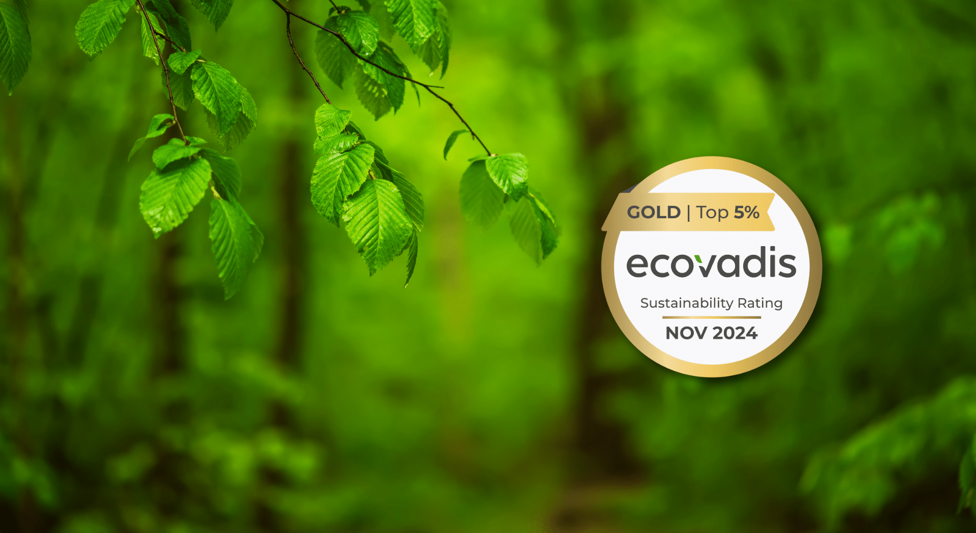 cameleon group certification ecovadis gold 2024 rse durable