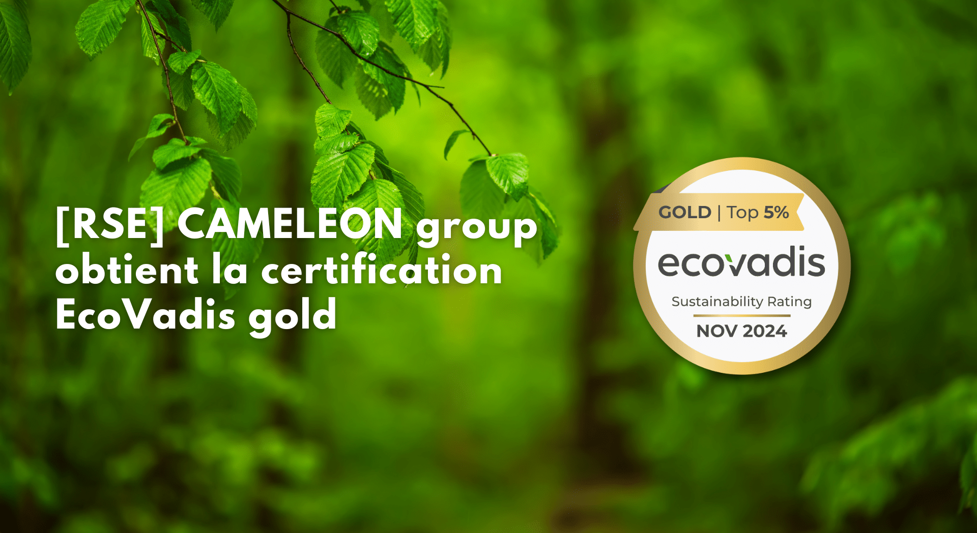 cameleon group obtient la certification ecovadis gold